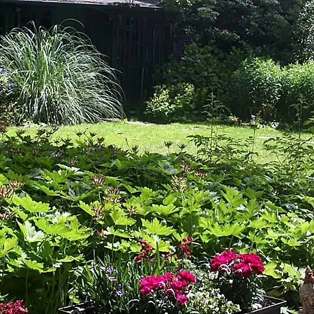 Het Hart Bed & Breakfast Haarlem