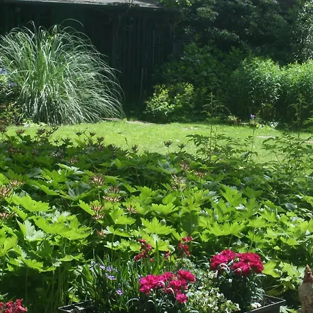 Bed & Breakfast Het Hart