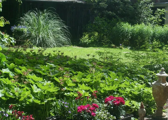 Bed & Breakfast Het Hart